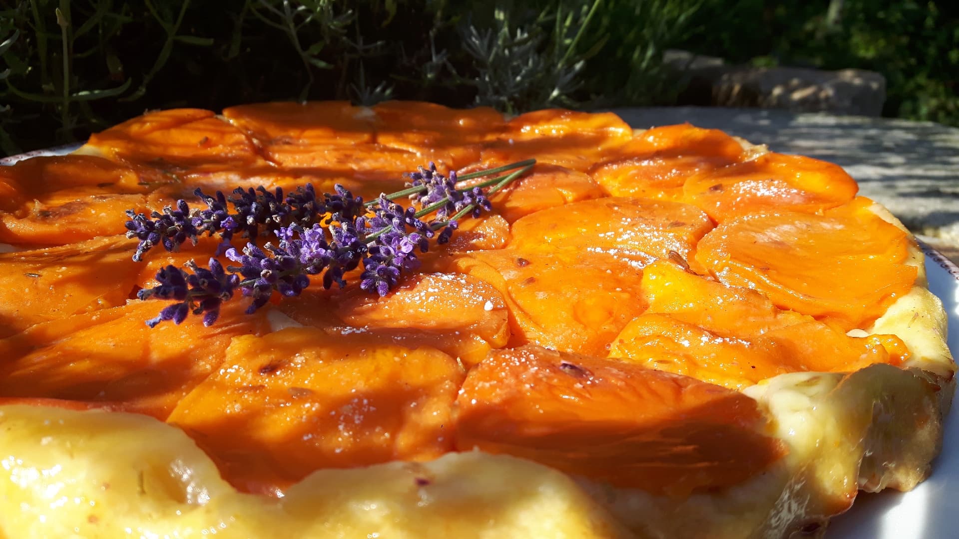 Panna Cotta Verbene auf Aprikose mit Zimthonigbrot