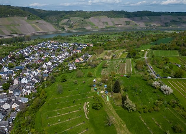 wanderpfad